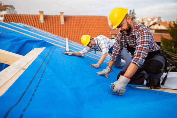 Best Roof Leak Repair  in Canton, NC