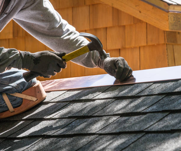 Best Roof Gutter Cleaning  in Canton, NC